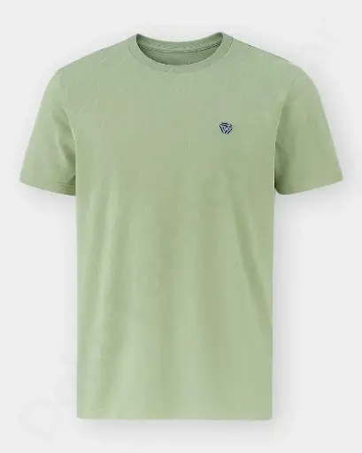 Men Fitcore Round Neck  –  Light Green  Color | T-Shirts   